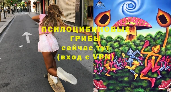 ПСИЛОЦИБИНОВЫЕ ГРИБЫ Балахна