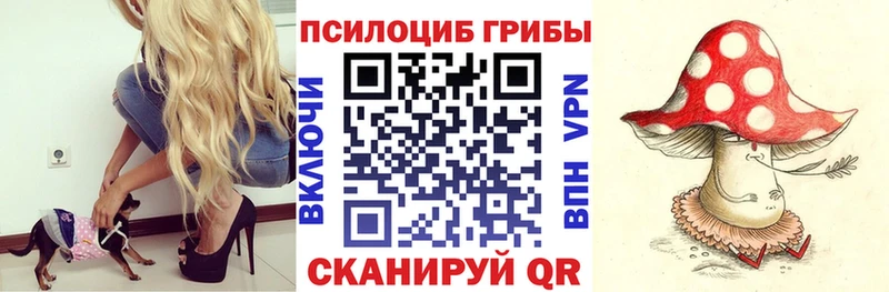 Галлюциногенные грибы Magic Shrooms Купить закладки Ступино
